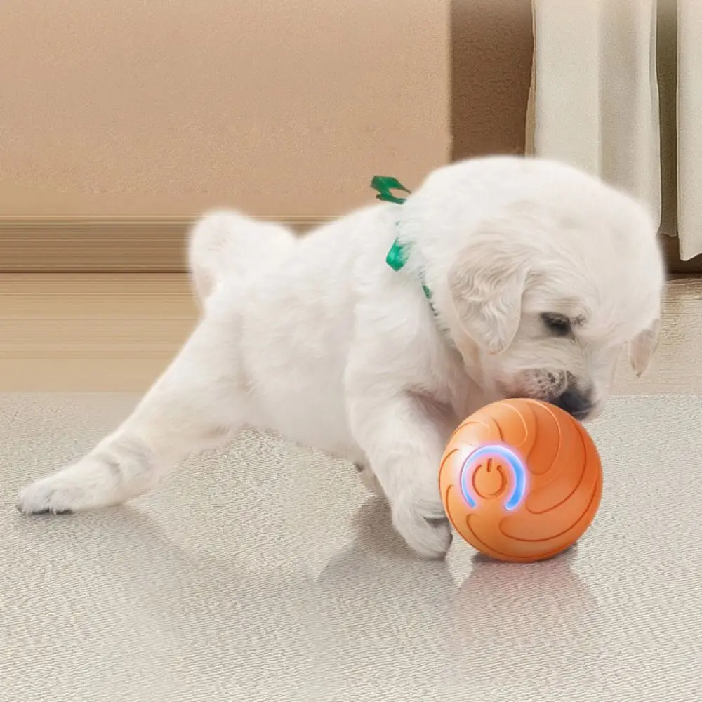 

USB Rechargeable Smart Dog Ball Bite Resistant Chew Resistant Automatic Rolling Ball Gravity Jump Bouncing Design