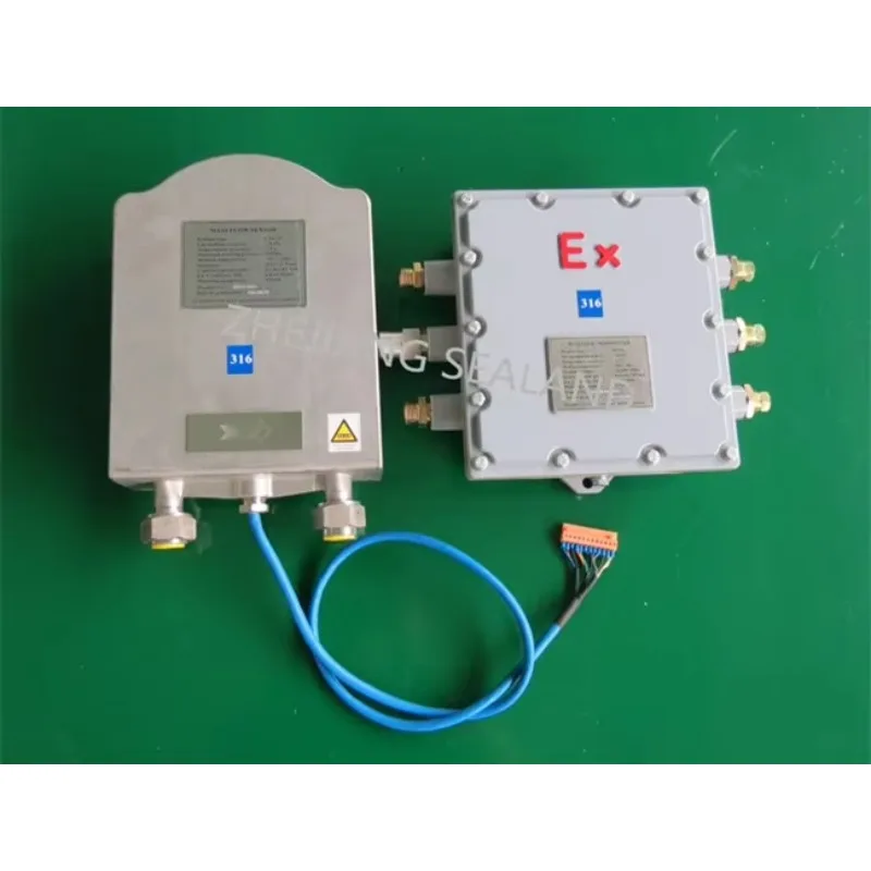 

Hot Sale Mass Flow Meter for CNG Fueling System