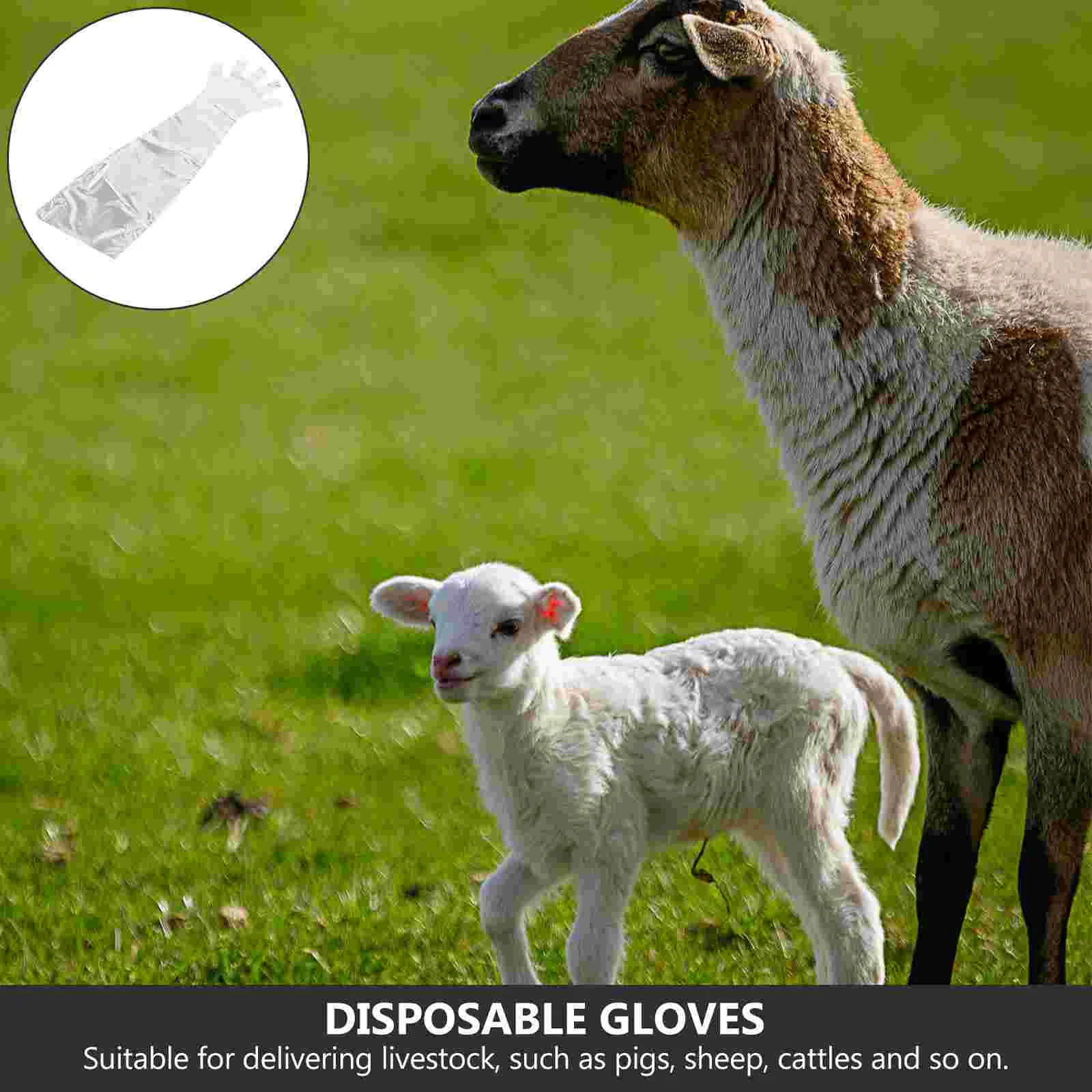 50 Pcs Long Glove Veterinary Delivery Gloves Cleaning Field Dressing Pe Sleeve Cattle Delivering