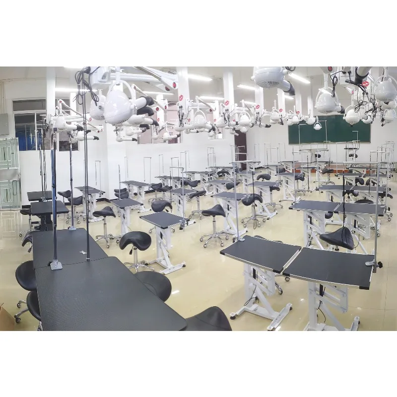Rectangular Aluminum Composite Pet Salon Pneumatic Lifting Table Wholesale Price Waterproof Pet Grooming Table