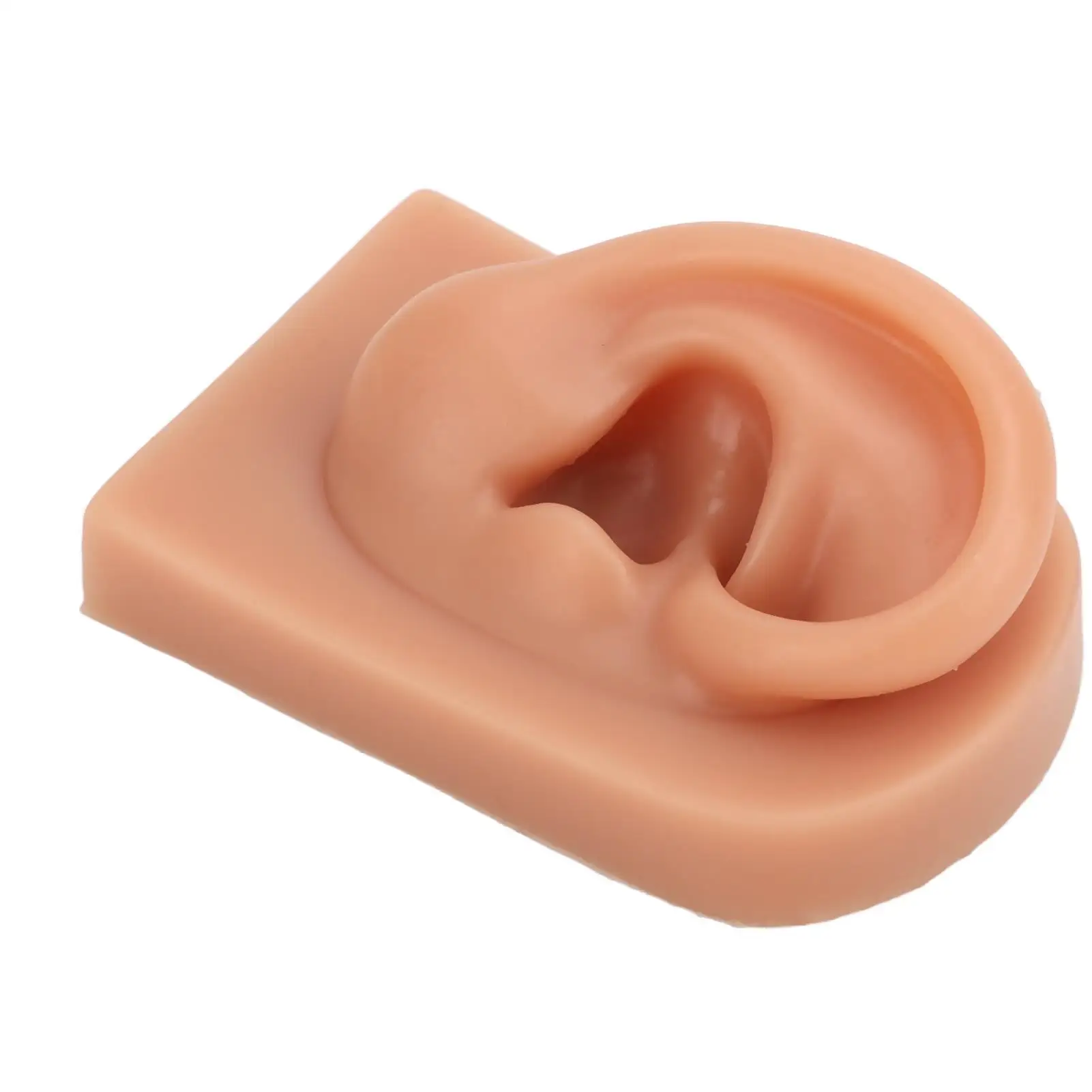 نموذج أذن سيليكون مرن ثلاثي الأبعاد لمتجر المجوهرات، أداة ممارسة الأذن الناعمة القابلة لإعادة الاستخدام للمبتدئين