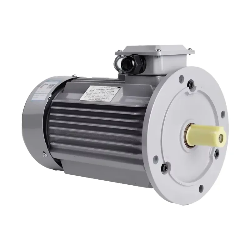 750W 3kw 11kw 22kw 55kw 75kw 90kw 110kw 132kw 200kw Ie1 AC Three Phase Induction Motor for Industrial Use High Efficiency