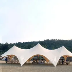 Estantería elástica impermeable para exteriores, toldo para fiesta, actividades de boda, Festival, toldo grande para sombra de sol, tienda elástica para eventos