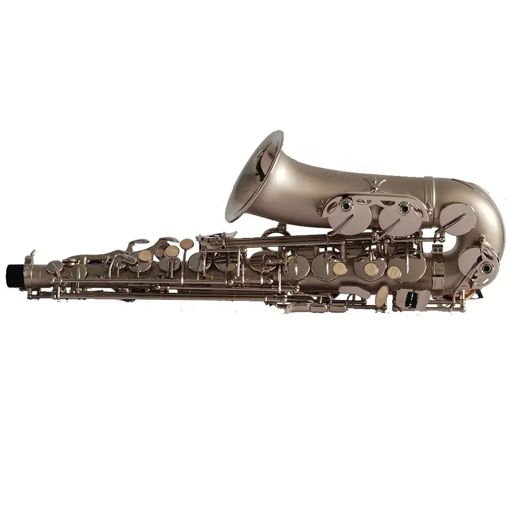 

Hooqu Eb Alto Saxophone - Nickel Plated Finish Professional Brass Woodwind Instrument