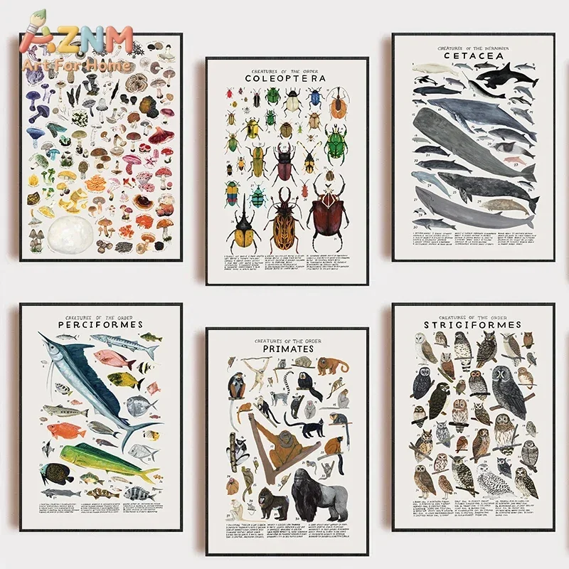 AZNM Vintage Animal Species Canvas Wall Art, Butterfly Wildlife Biology Educational Print, Retro Natural Science Poster, Framele