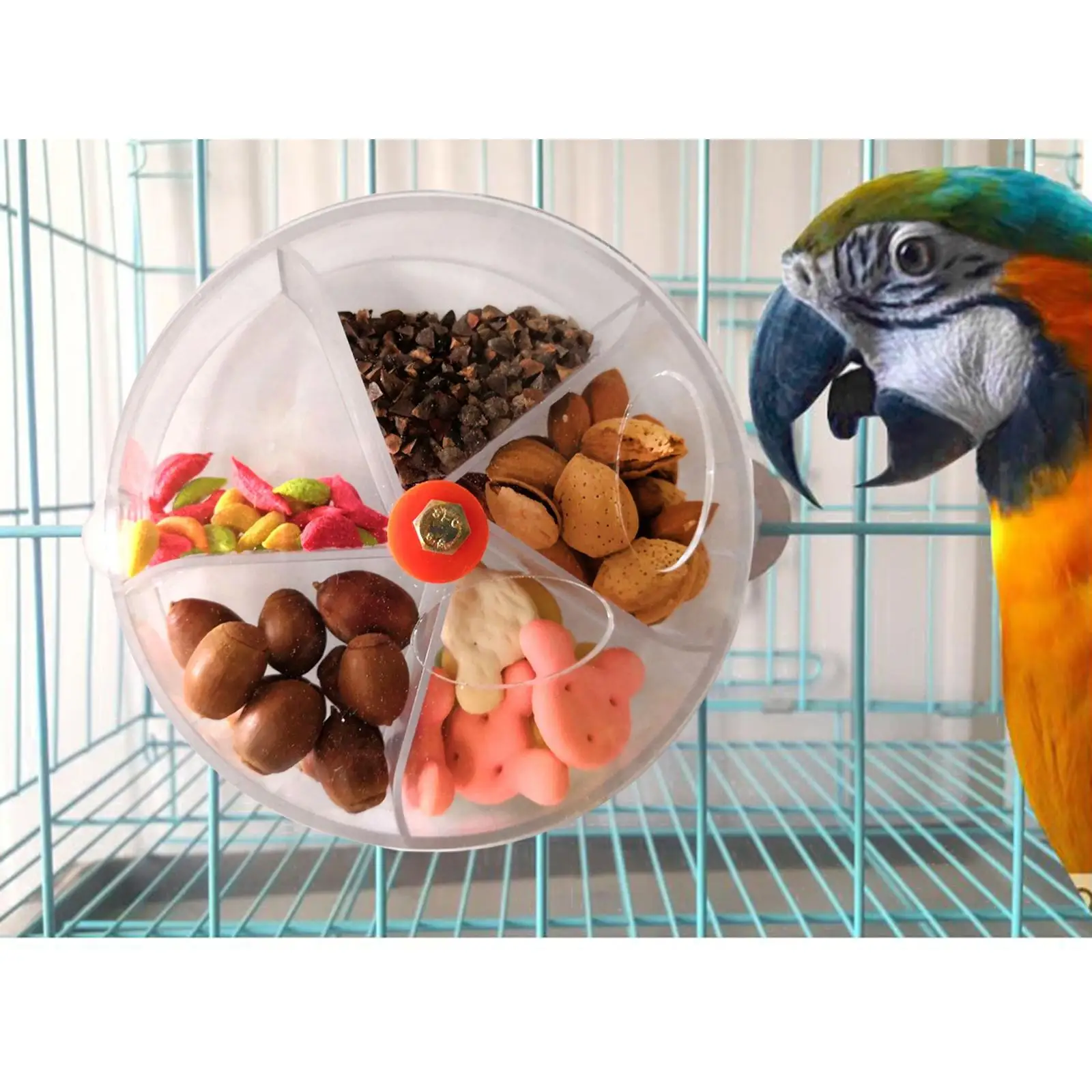 Rueda de forrajeo interactiva para loros y periquitos - imagen 5