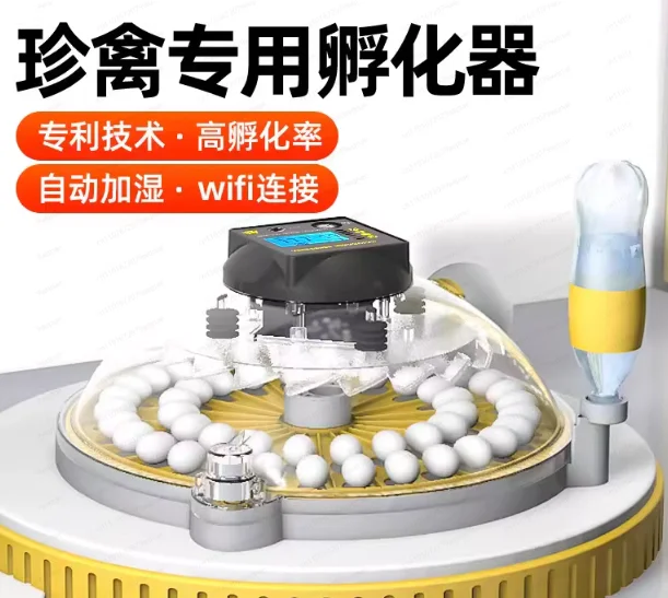 Incubator Small household automatic incubator Smart small flying saucer Egg incubator Parrot Rutin Chicken Egg Hatching
