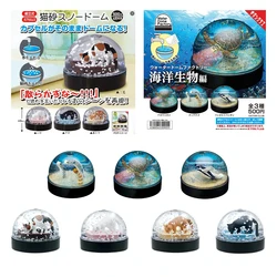 Genuine Gacha Figure Small Scale Model Cat Litter Snow Crystal Ball Egg Twist Three Flower Cat Shaving Cat Litter Figure Toys