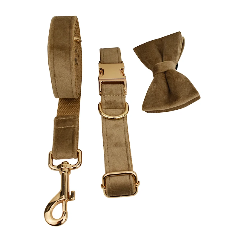 Ensemble collier et laisse en velours pour chien avec plaque_voghion.com