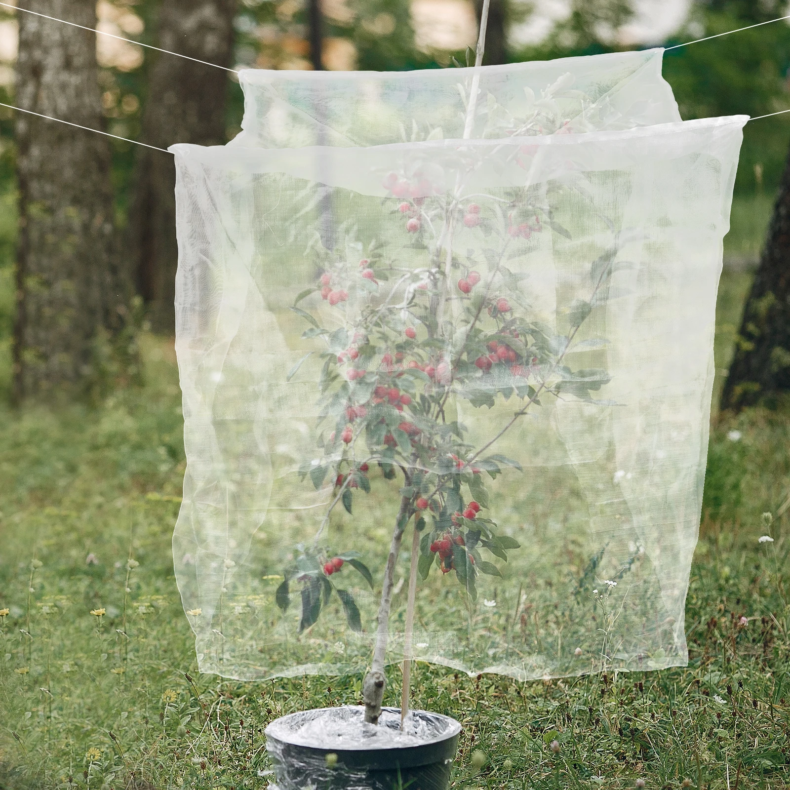 

Anti Bird Net 1x1x1m Garden Mesh Netting for Birds Fruit Tree Protection PE Material Easy Storage Vegetable Plant Cover
