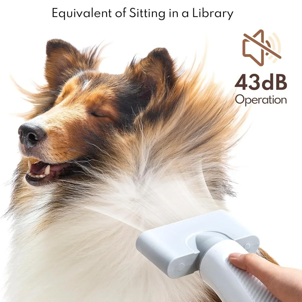 pet, water dryer, household, negative ion, high power, touch screen.