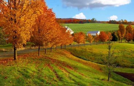 

JX PDI-HV0703MG Micro Servo 3KG Digital Servo Coreless Motor 8.4V Full Aluminum Casefor RC Cars Helicopter Crawler