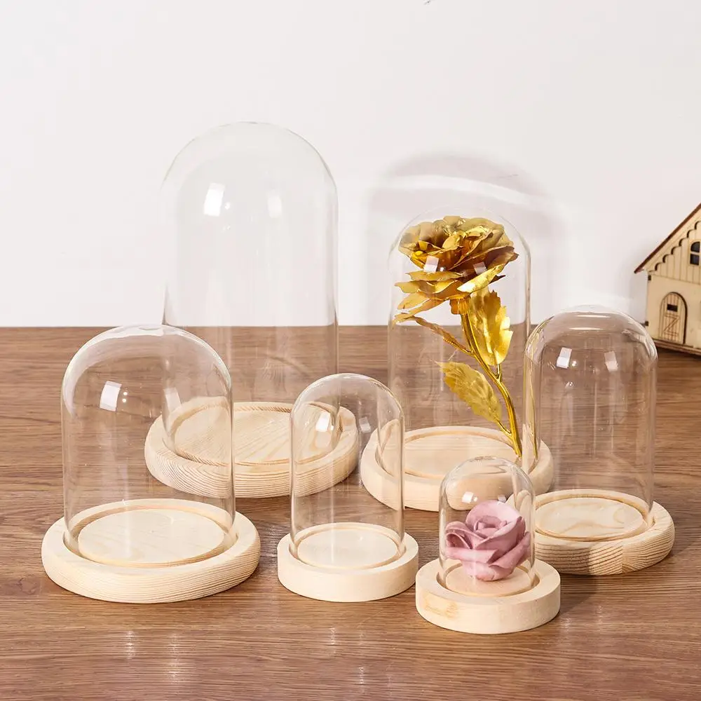 Glass Cloche Jar Display Stand Cover Terrarium Bottle with Wooden Base Acrylic Dust Cover Display Box Immortal Flower Box