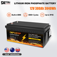 DATOUBOSS 300ah lifepo4 Battery 12v Built-in BMS Lithium Iron Local Warehouse Delivery Fast Shipping 8000 Cycles