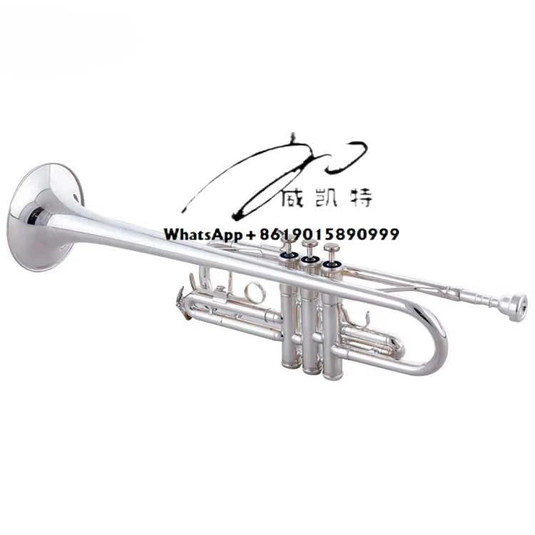 

Best Price Euphonium Bb Kit Gold Lacquer Euphonium Alto Brass Wind Instruments Euphonium Bag