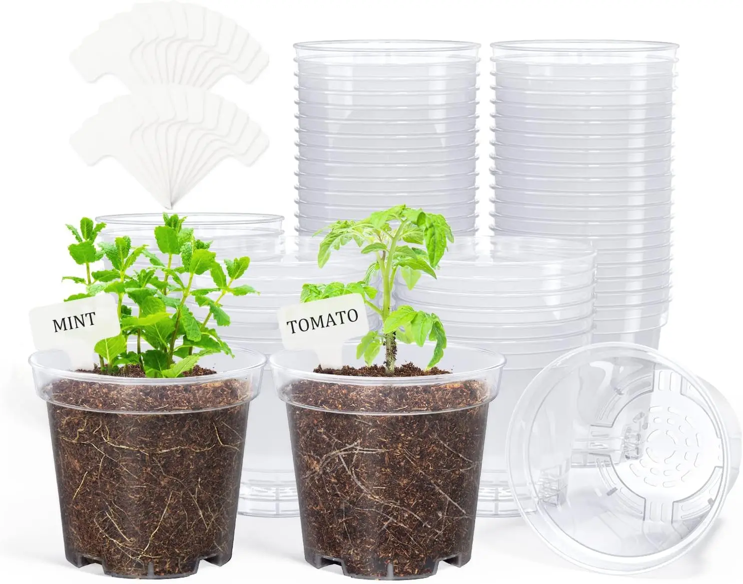 

Clear Nursery Pots for Plants,4 Inch Plant Pot for Planting Plastic Seedling with Drainage Holes Seed Starter Flower Hig