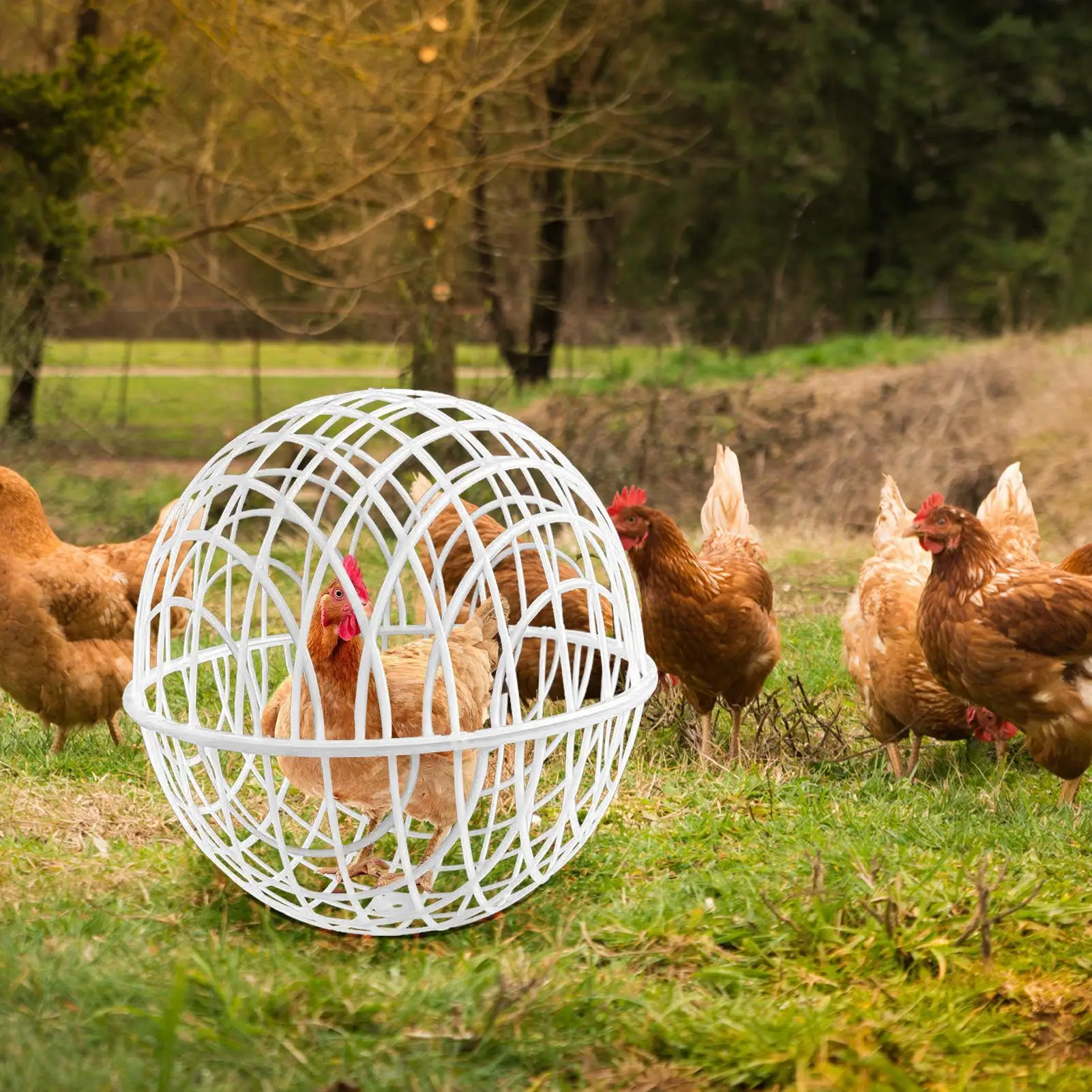 Jaulas para Pollos para Exterior, Móviles, 3 Piezas, Hábitat para Aves de Corral, Suministros para Protección de Vegetales, Alojamiento y Pastoreo