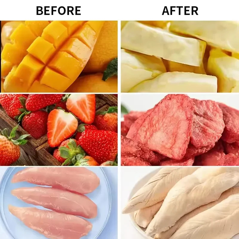 for Home Dryer hine 6-35Lbs Vacuum Pump Small Food Dehydrator for Chicken Liver Pet Treats DIY Fruit Vege