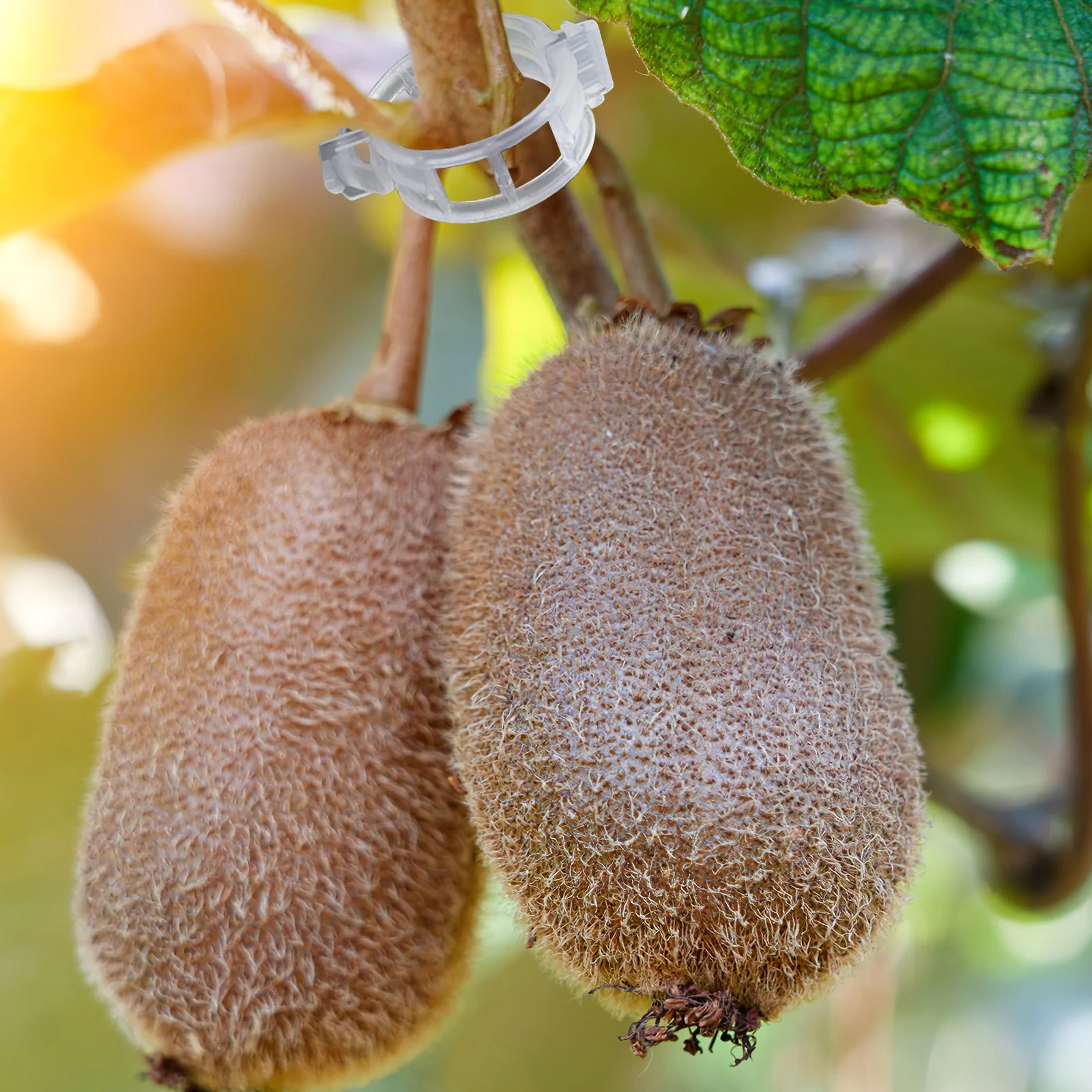 

200Pcs Plant Support Clips Plastic Garden Buckle Hooks Tomato Trellis Climbing Vine Holders Vegetables Plant Clips