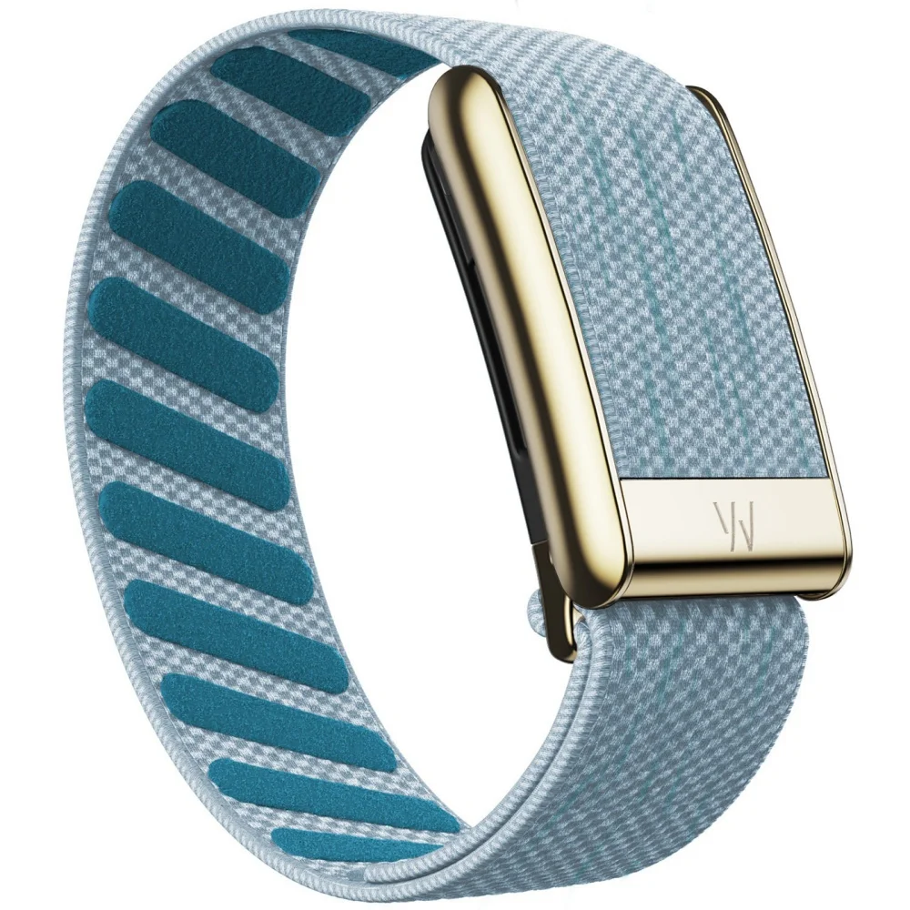 Für Whoop 5.0 Mg Armband mit W-Logo Leder Nylon Gewebtes Elastisches Whoop Sport-Ersatzarmband Gold Silber Metall