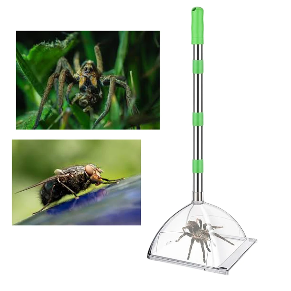 

Long Handle Adjustable Catcher for Contactless Capture of Spiders and Insects with Transparent Observation Box