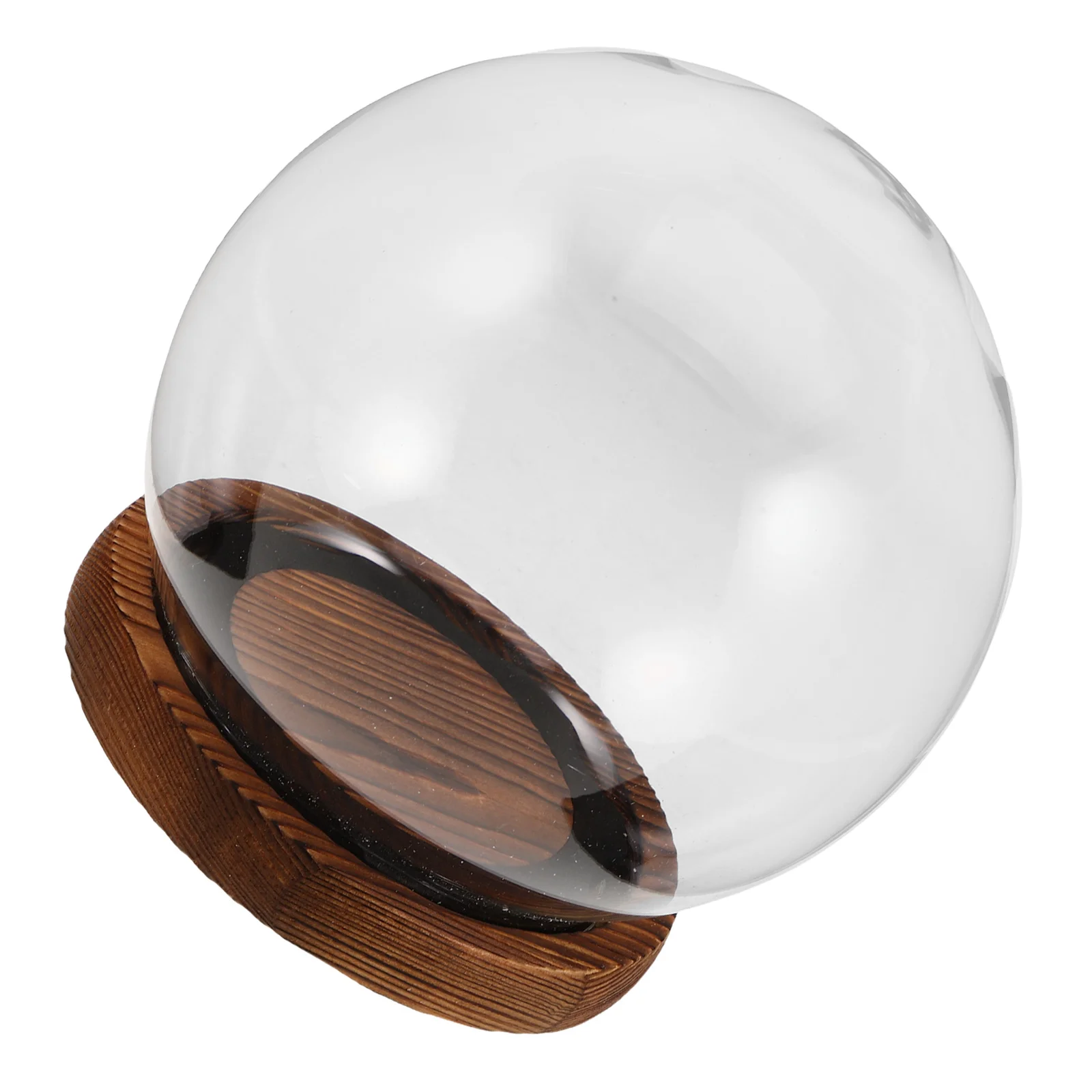 Preserved Flower Glass Dome Transparent Cloche Display Case Smooth Eternal Flower Showcase Protective Floral Display