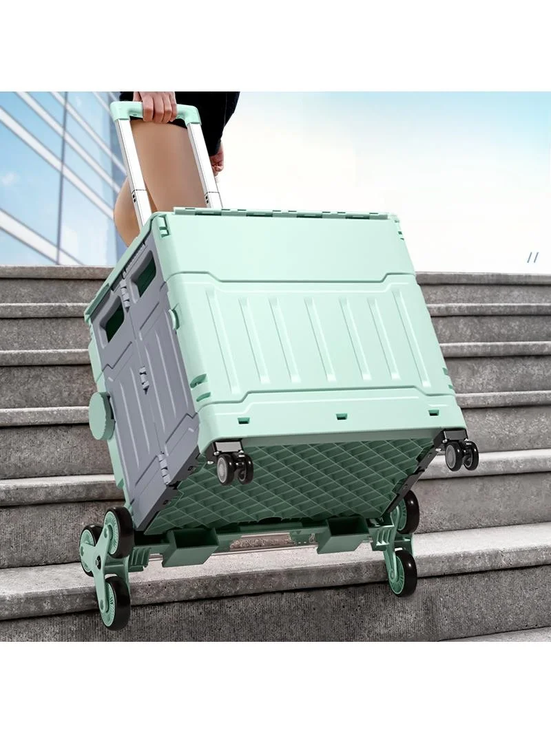 carrello-portatile-per-la-spesa-carrello-per-l'acquisto-di-verdure-carrello-saliscale-carrello-manuale-per-barbecue-carrello-da-mercato