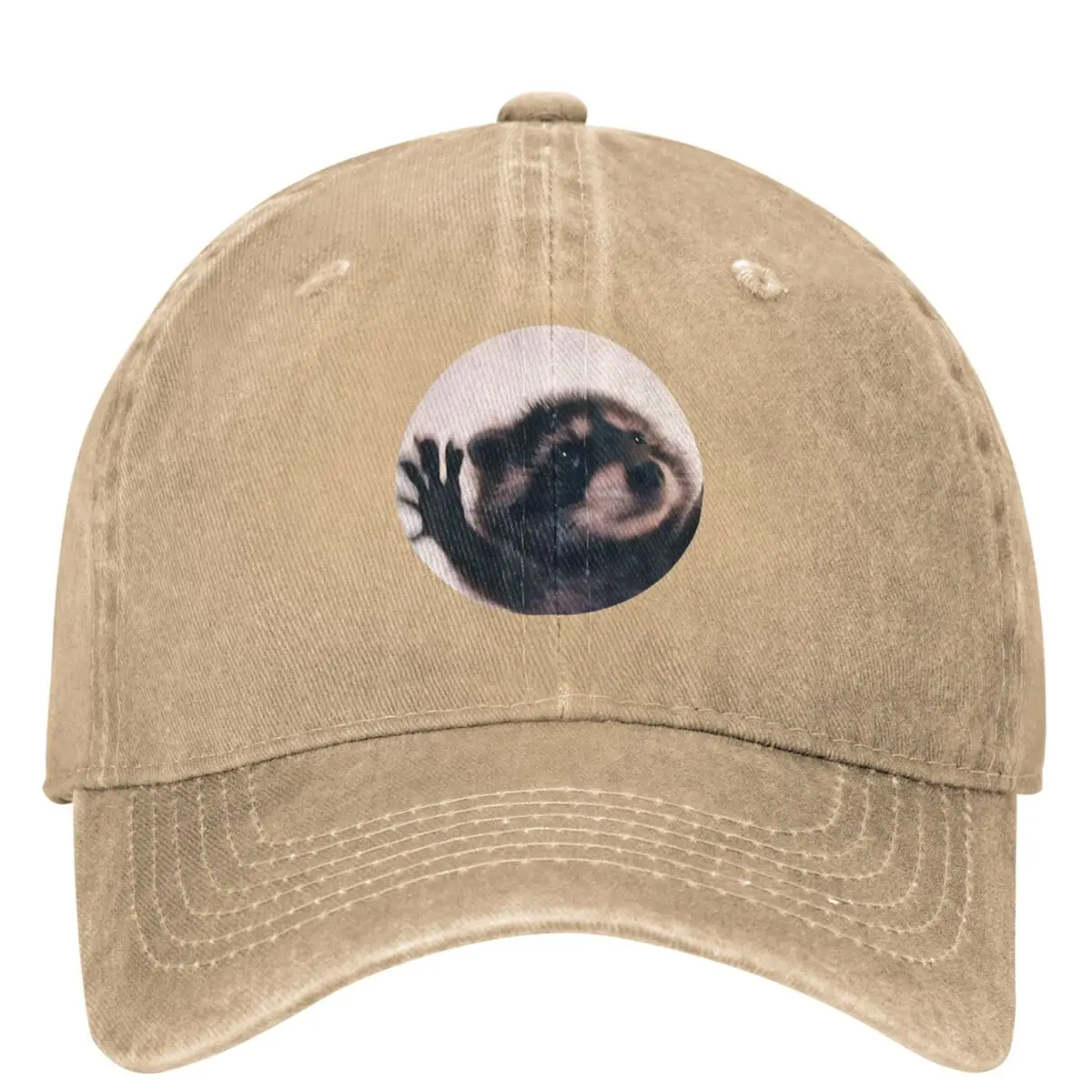 

Pedro Raccoon Baseball Cap Funny Aesthetic Street Style Men Adult Hip Hop Dad Hats Designer Tennis Skate Baseball Caps Gift