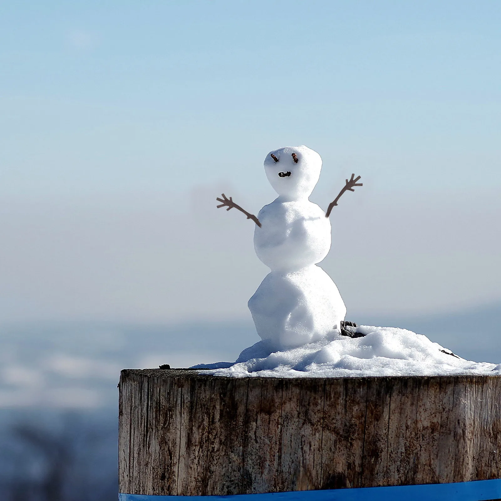 

120Pcs Mini Plastic Deer Antlers Tree Branches Snowman Arms DIY Christmas Ornament Decoration Mini Reindeer Antlers for Crafts