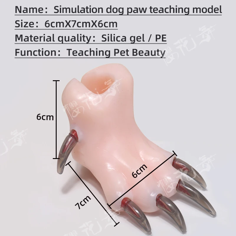 Silikonowy model nauczania łap psa, nauczanie w szkole piękności dla zwierząt, młodzi kosmetyczni pracujący w domu, którzy ćwiczą strzyżenie paznokci psa