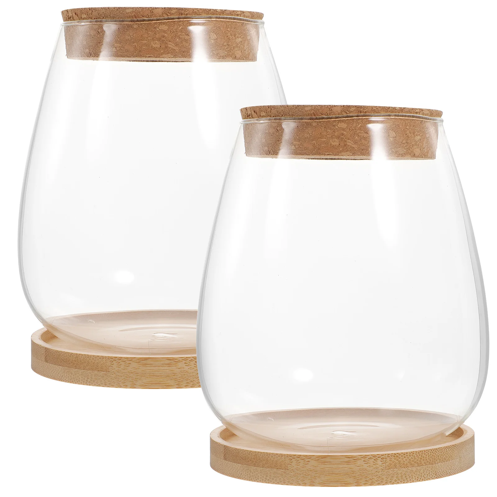 

Eco Vase Glass Terrarium Plants Container Lid Hydroponic Planter Bottle Micro Landscaping DIY Home Decoration