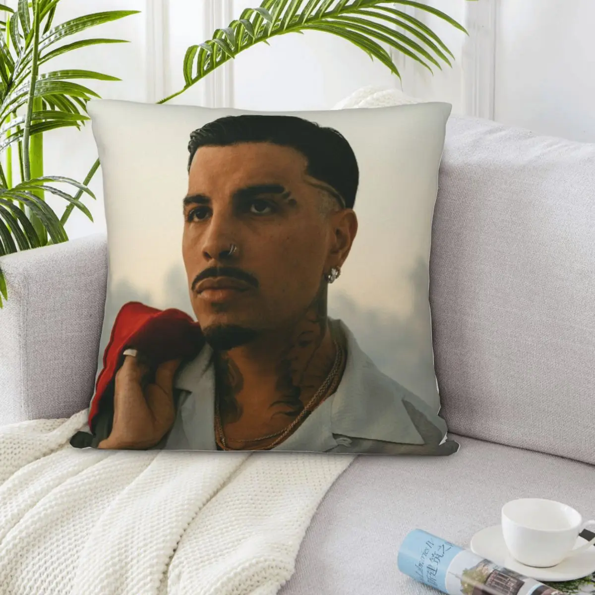 

Rauw Alejandro 02457 Cushions Pillowcases Pillow Cover Dakimakura Pillow Case Pillow Cover