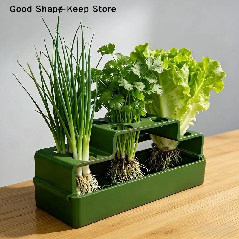 dailyHydroponic Scallion Growing Device SelfWatering System for Green Onion Fast Rooting Home Office GardeningDaily products