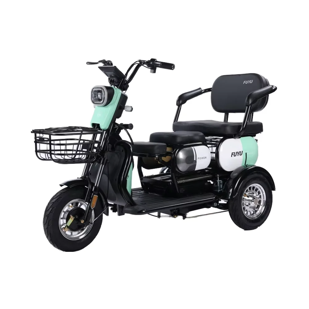 2025Amazon Hot Sales Electric 3 Wheels Mobility Scooter Tricycle 500W Cargo E Bike Accept Customization