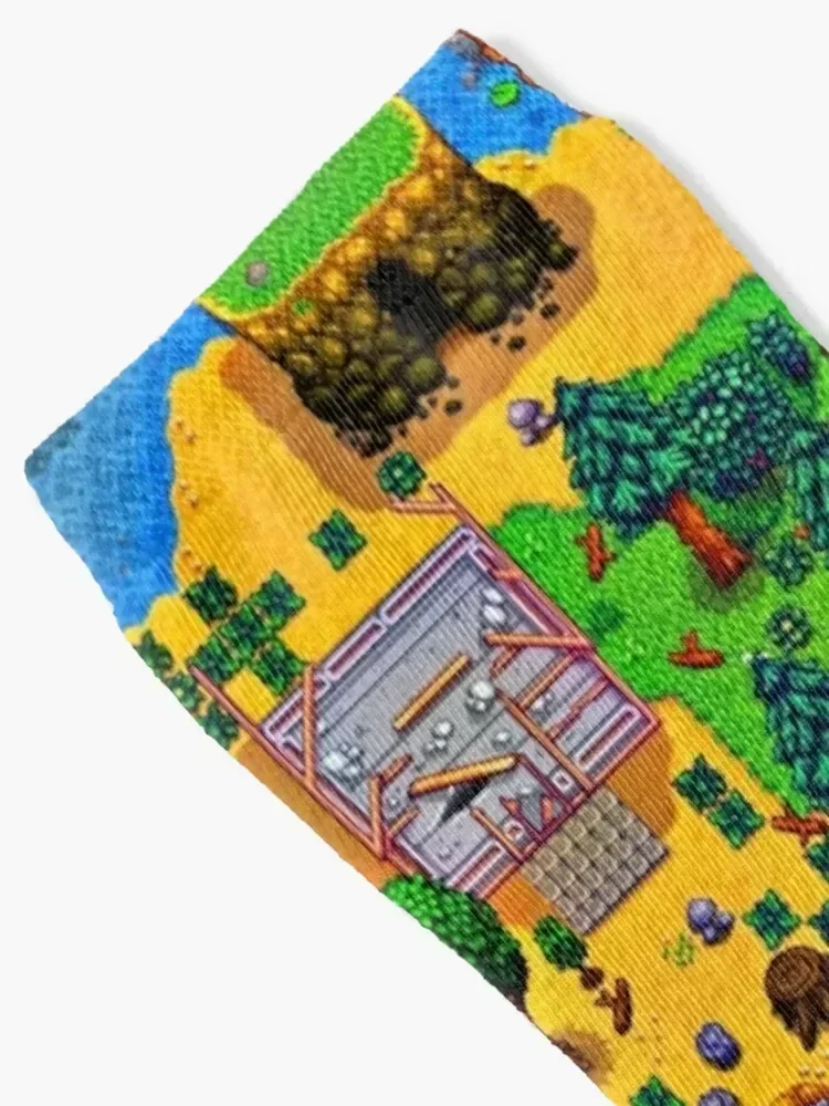 Stardew valley farm map Socks sheer Run Crossfit christmass gift Socks Women Men's