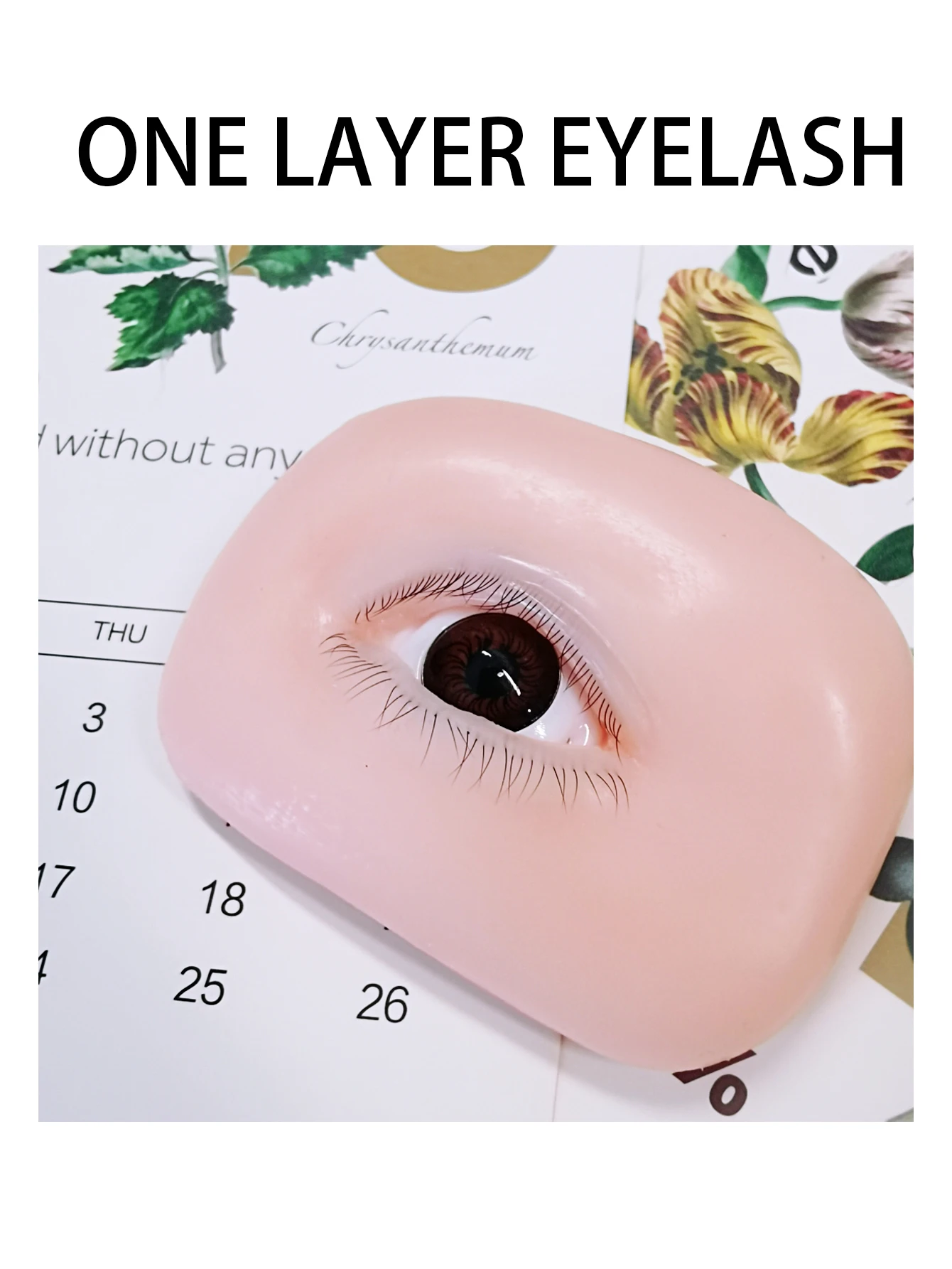 Mannequin Eyes for Eyelash Practice, Flat Doll Head, Korean Makeup Products Tool,False Eyelash Grafting Training Mannequin Head
