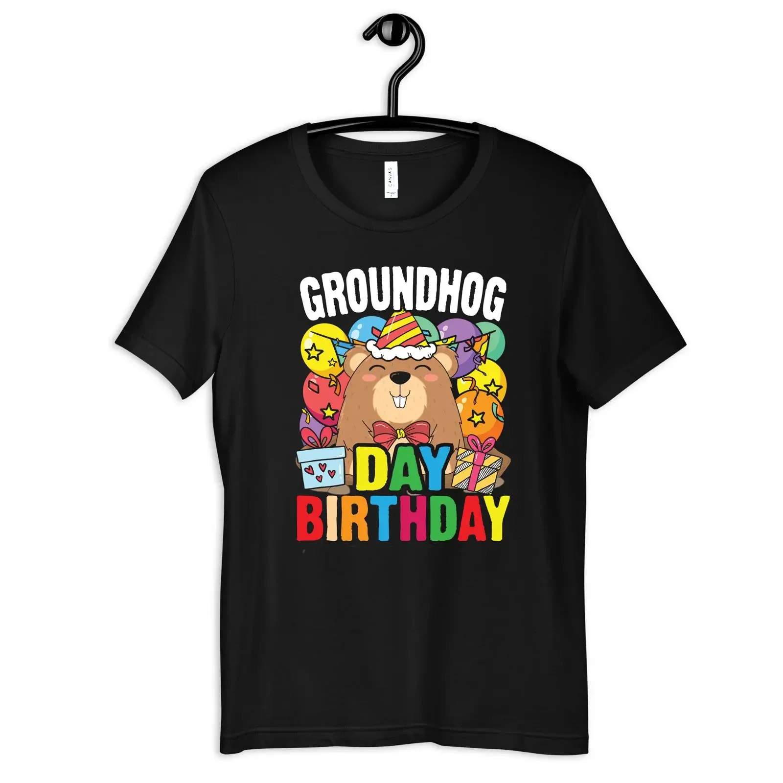 Groundhog Day Birthday T Shirt Women's Kids Long Sleeve SweaT vintage Washed Soft Versatile Casual Stylish Breathable Stretched