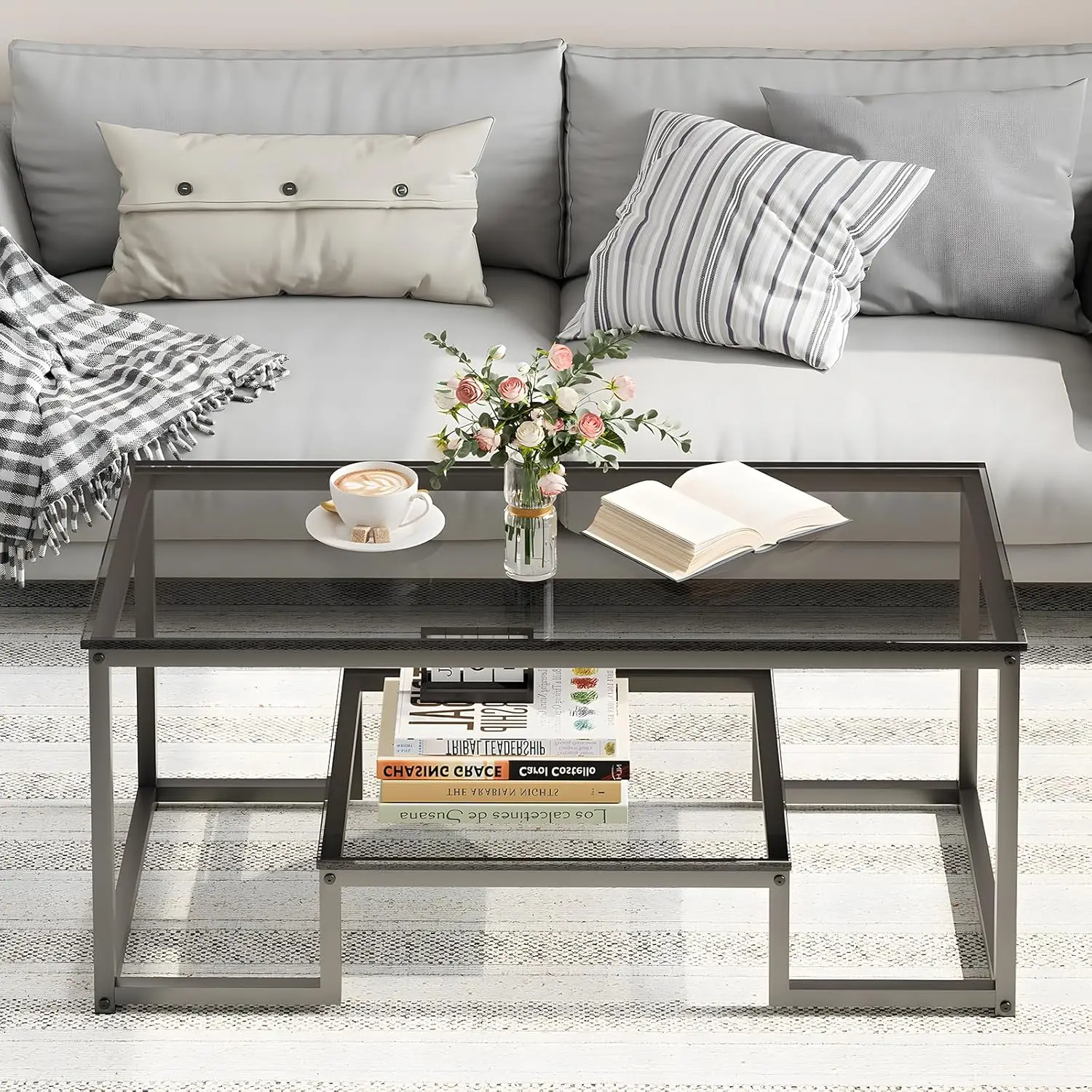 

Coffee Table Grey Glass Coffee Table for Living Room,2 Tiers Rectangle Center Table with Sturdy Metal Frame,Modern Tempered Glas