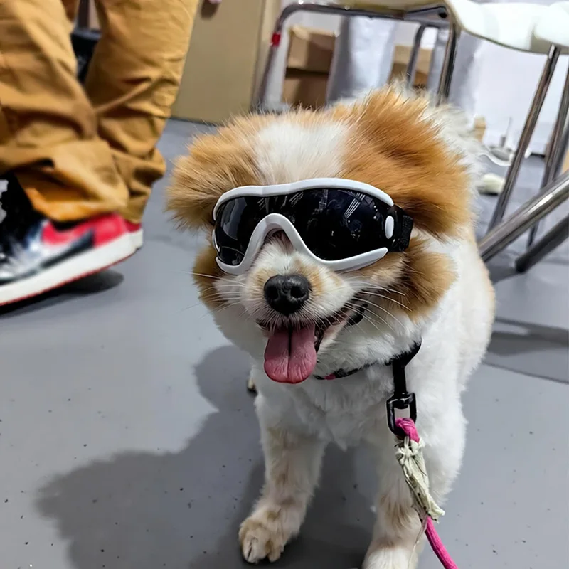 Pet Goggles for Dogs And Cats Outdoor Wind And UV Resistant Sunglasses Water Sports Goggles for Small to Medium Size Pets