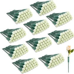 25PCS 6 Inches Floral Water Tubes Plastic Green Floral Tubes with Rubber Caps Fresh Flower Water Tubes for Bouquet Stem Supplies