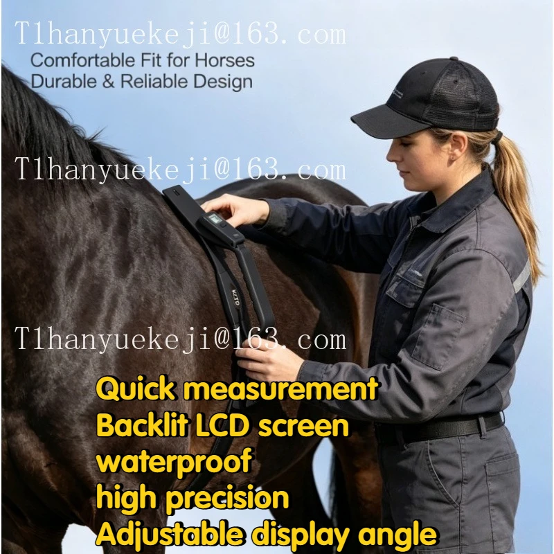KYTO2596 Equine Heart Rate Monitor, Backlit LCD Waterproof High Accuracy Fast Reading with Adjustable Display Angle