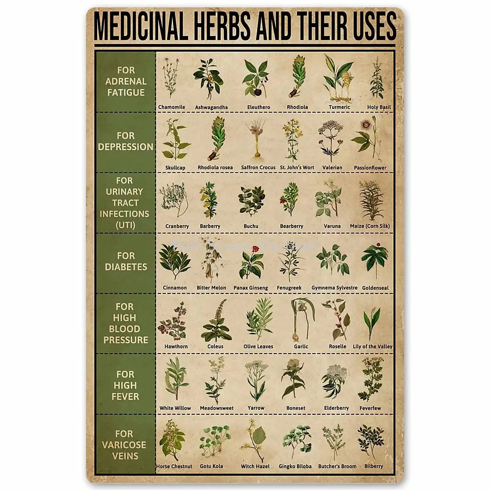 Medicinal Herbs and Their Uses Posters Metal Signs Wall Decor Room Decor 8x12 Inches  Vintage  Room Decoration