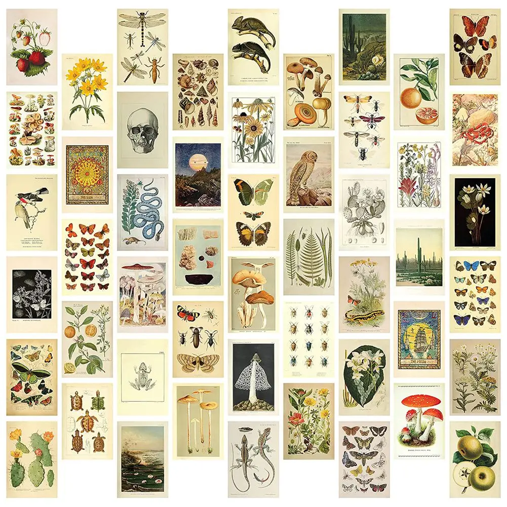 Vintage Aesthetic Wall Collage Kit - 50 Mini Botanical Cottagecore Collage Art Posters (4X6Inch) for Trendy Photo Wall