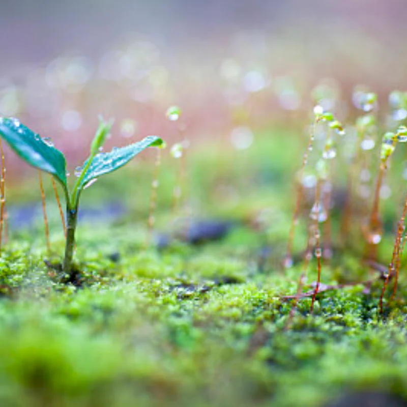 4 Uds 1:10 RC neumáticos universales para Tamiya HPI Kyosho Arrma 1/10 camiones accesorios de neumáticos RC coche adaptador de 12-14mm reemplazo de neumáticos de plástico