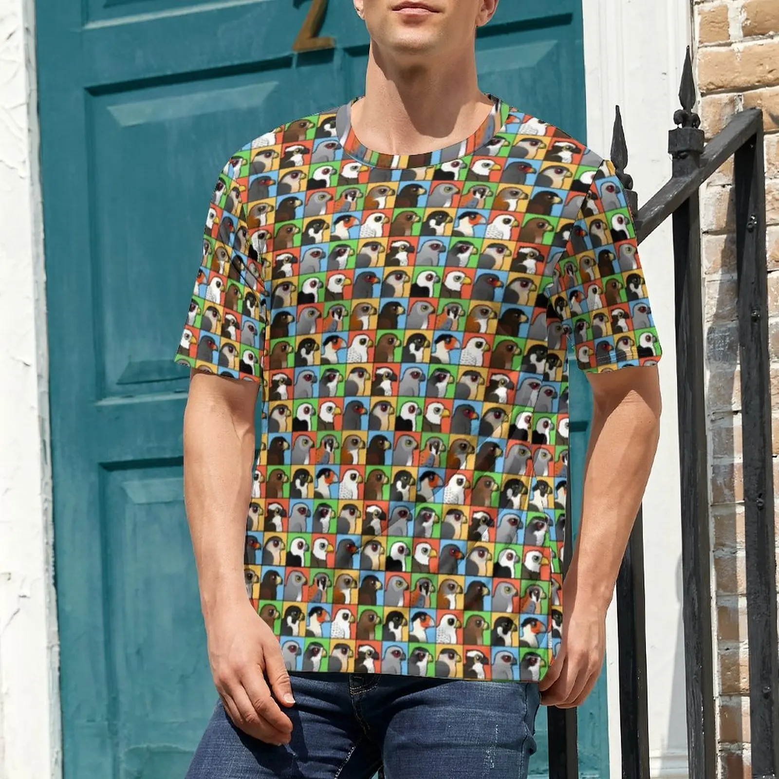 Summer T Shirt Cartoon Eagle T Shirts Lots Of Eagles Birdorable Raptors Funny Vintage Tees For Man Short Sleeve Oversized Tops