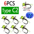 6pcs Type C2