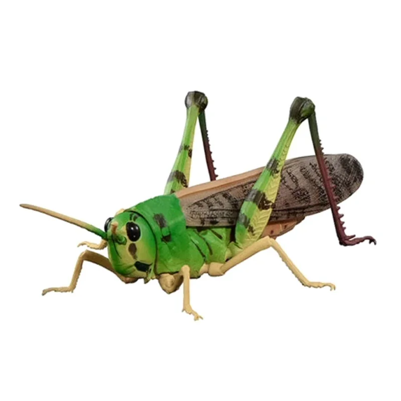 BANDAI Locusts Grass Hoppers Locusts Biological Encyclopedia Gashapon Christmas Gifts for Children Action Figure Model Toys