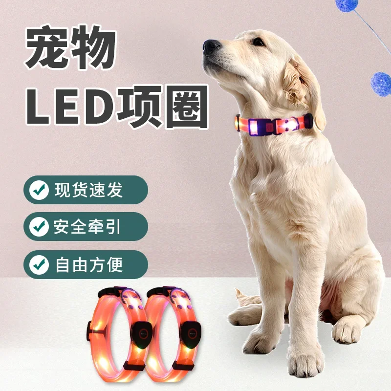 Waterproof Illuminating Walking Night Light Up Dog Leash Collar Set Glowing USB Rechargeable Led Dog Leash