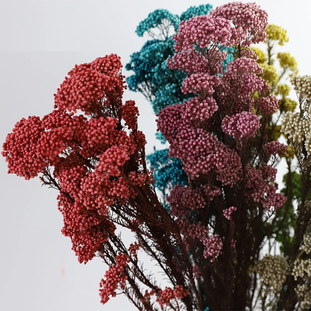 Natural Dried Preserved Eternal Millet Flowers Real Rice Flower Arrangement Flores Bouquet Home House Country Wedding Decoration