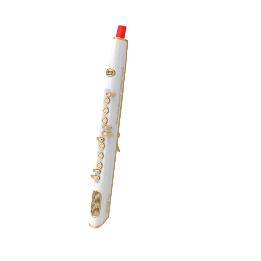 Electronic Saxophone, Easy to Learn for Beginners, Intelligent Wind Instrument, Portable E-Flute for Seniors Electric Pipe